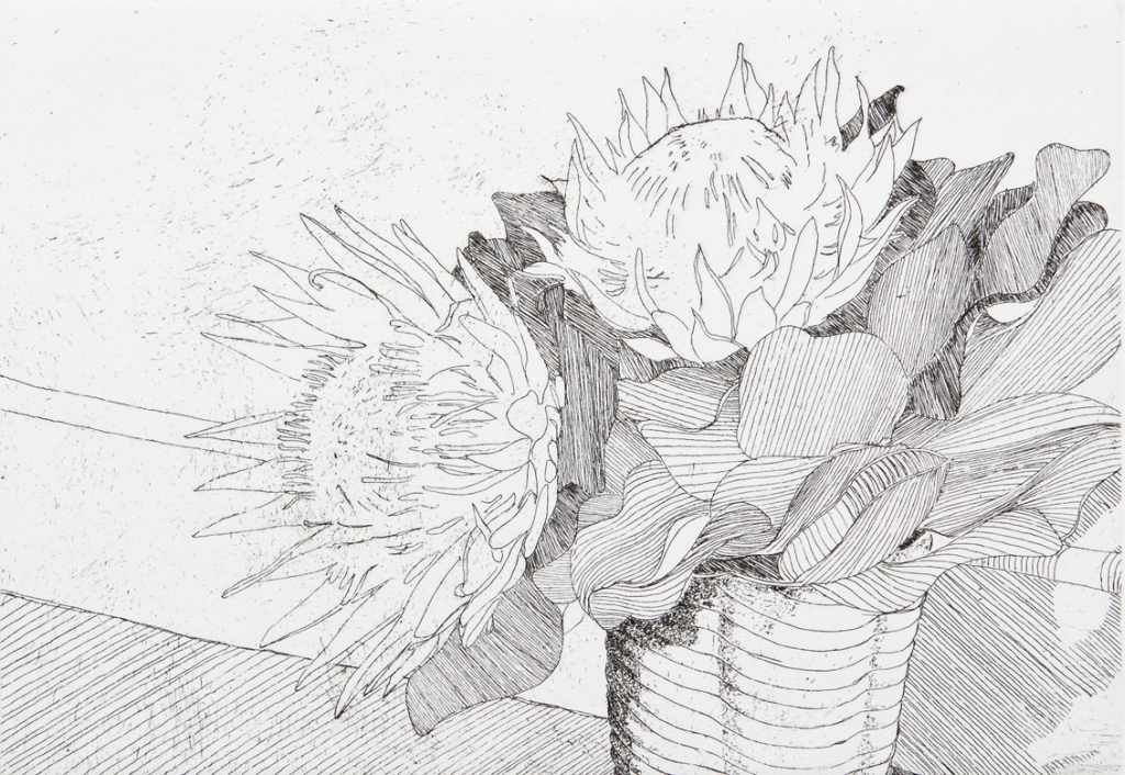 King Protea